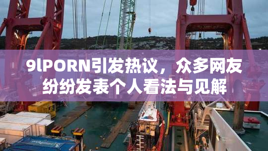 9lPORN引发热议，众多网友纷纷发表个人看法与见解