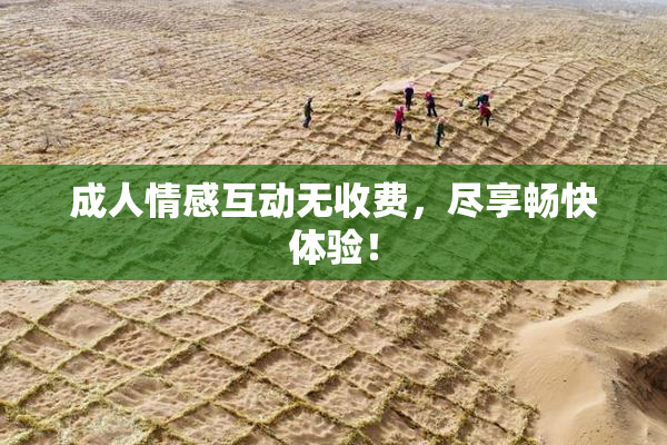 成人情感互动无收费，尽享畅快体验！