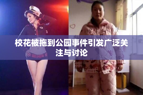 校花被拖到公园事件引发广泛关注与讨论