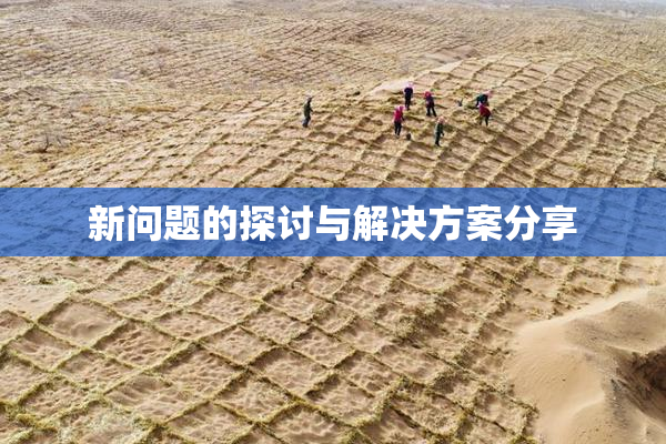 新问题的探讨与解决方案分享