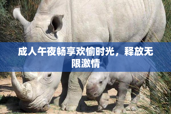 成人午夜畅享欢愉时光，释放无限激情