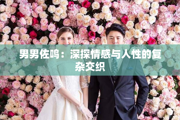 男男佐鸣：深探情感与人性的复杂交织