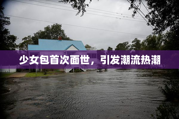 少女包首次面世，引发潮流热潮
