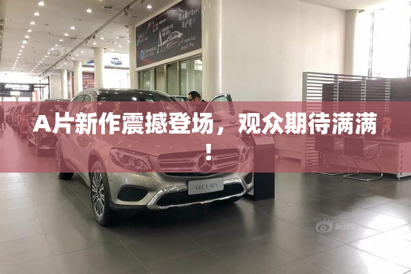 A片新作震撼登场，观众期待满满！