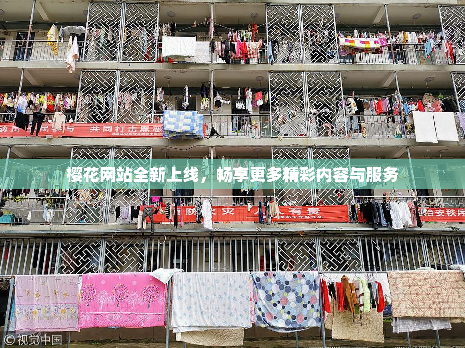 樱花网站全新上线，畅享更多精彩内容与服务