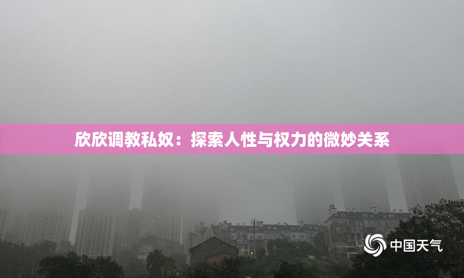 欣欣调教私奴：探索人性与权力的微妙关系