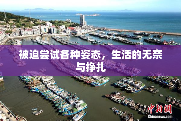 被迫尝试各种姿态，生活的无奈与挣扎