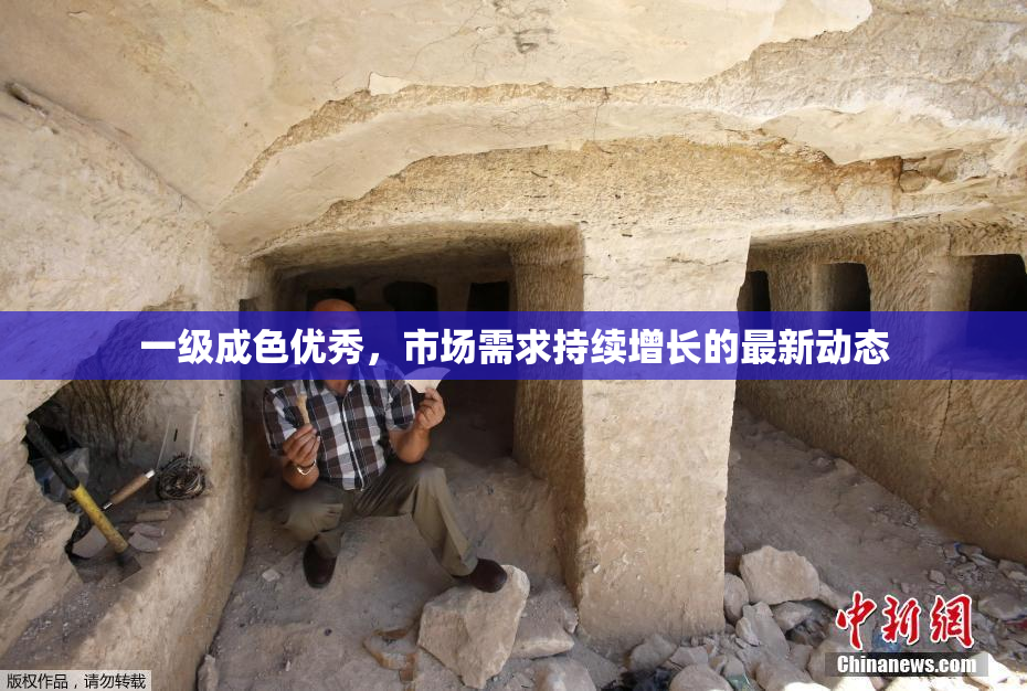 一级成色优秀，市场需求持续增长的最新动态