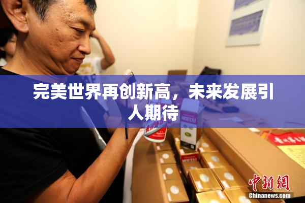 完美世界再创新高，未来发展引人期待