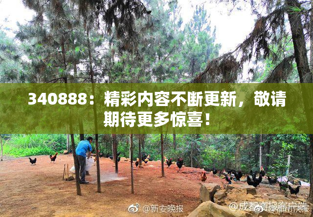 340888：精彩内容不断更新，敬请期待更多惊喜！