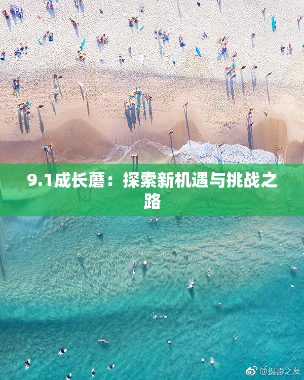 9.1成长蘑：探索新机遇与挑战之路