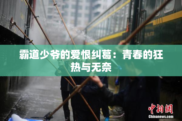 霸道少爷的爱恨纠葛：青春的狂热与无奈