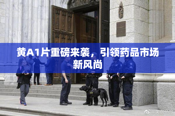 黄A1片重磅来袭，引领药品市场新风尚