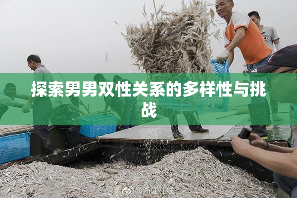 探索男男双性关系的多样性与挑战