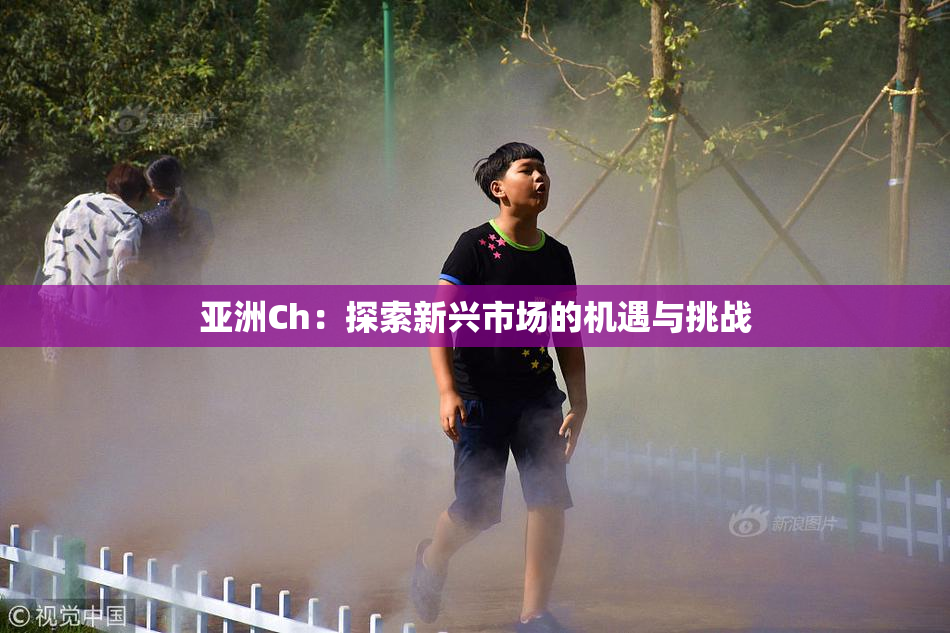 亚洲Ch：探索新兴市场的机遇与挑战