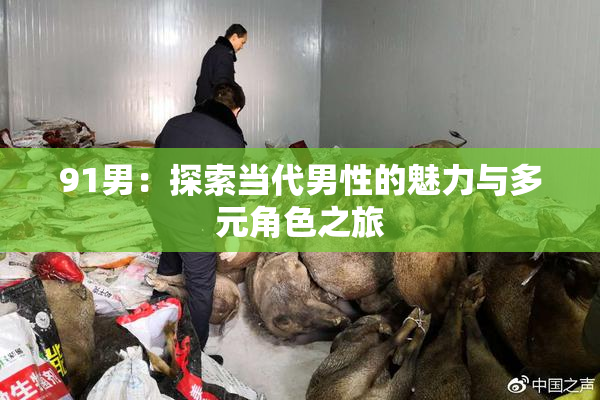 91男：探索当代男性的魅力与多元角色之旅