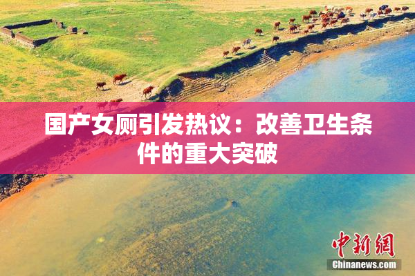 国产女厕引发热议：改善卫生条件的重大突破