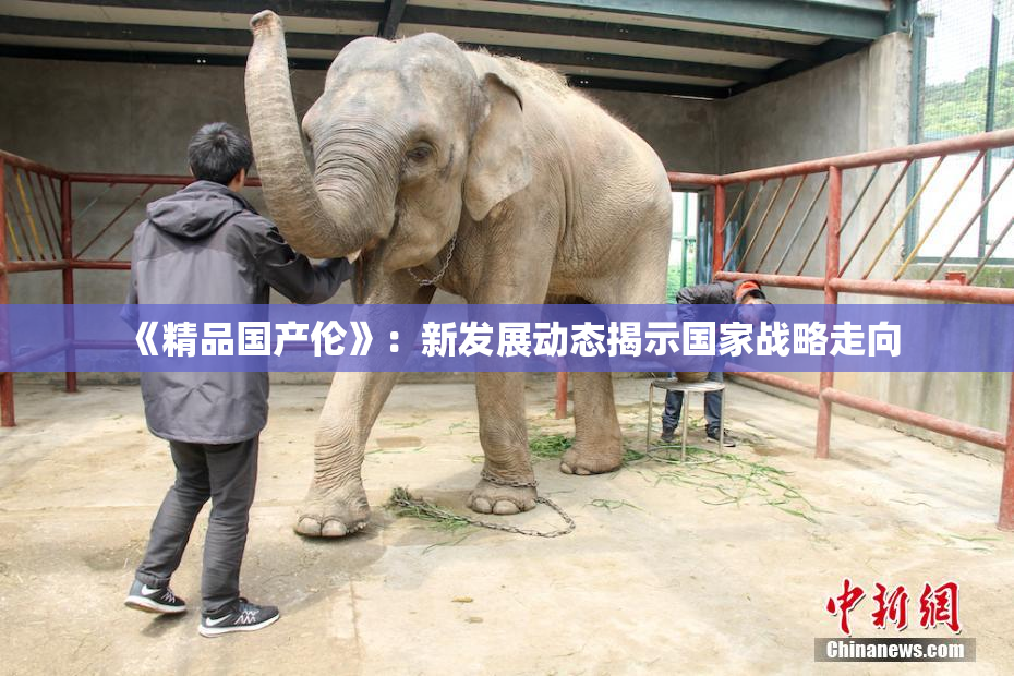 《精品国产伦》：新发展动态揭示国家战略走向