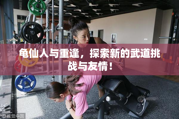 龟仙人与重逢，探索新的武道挑战与友情！