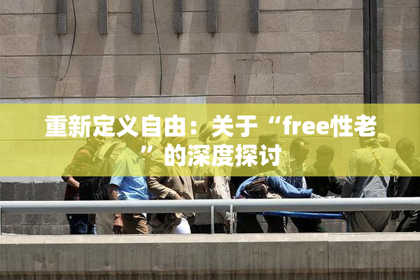 重新定义自由：关于“free性老”的深度探讨