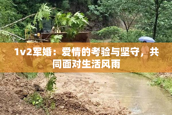 1v2军婚：爱情的考验与坚守，共同面对生活风雨