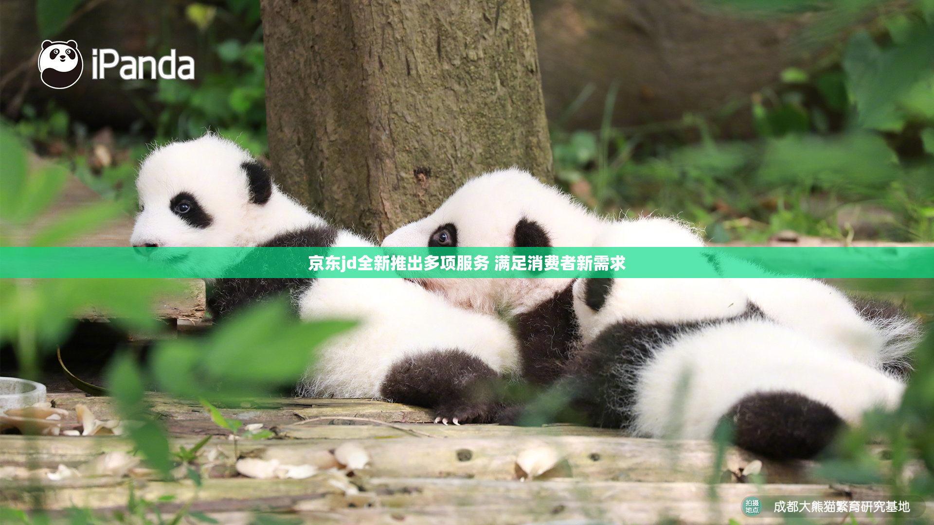 京东jd全新推出多项服务 满足消费者新需求