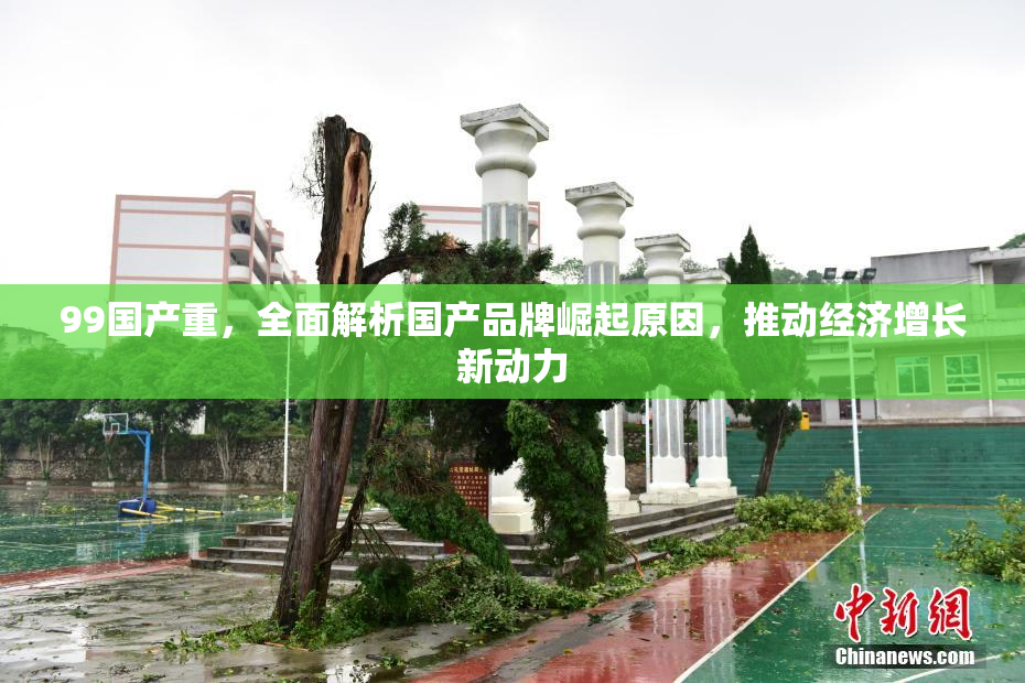 99国产重，全面解析国产品牌崛起原因，推动经济增长新动力