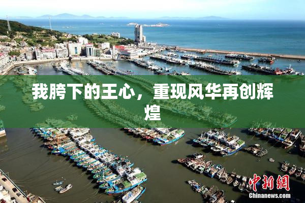 我胯下的王心，重现风华再创辉煌