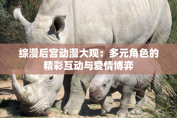 综漫后宫动漫大观：多元角色的精彩互动与爱情博弈