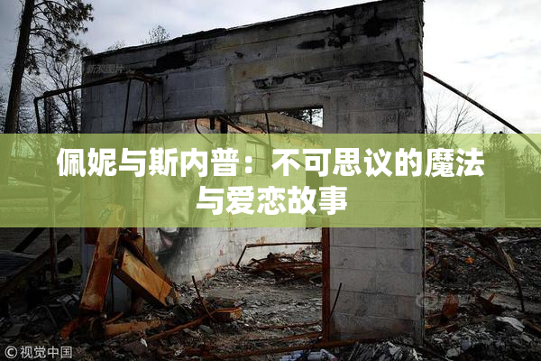 佩妮与斯内普：不可思议的魔法与爱恋故事