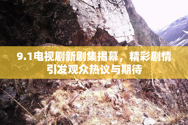 9.1电视剧新剧集揭幕，精彩剧情引发观众热议与期待