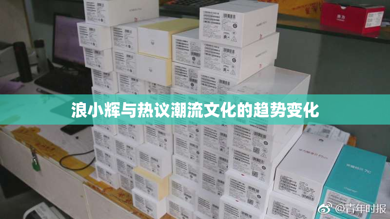 浪小辉与热议潮流文化的趋势变化