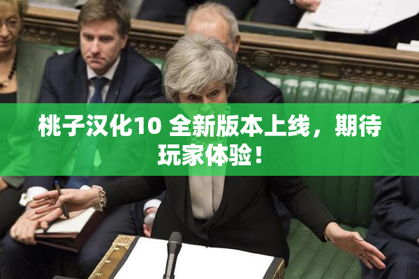 桃子汉化10 全新版本上线，期待玩家体验！