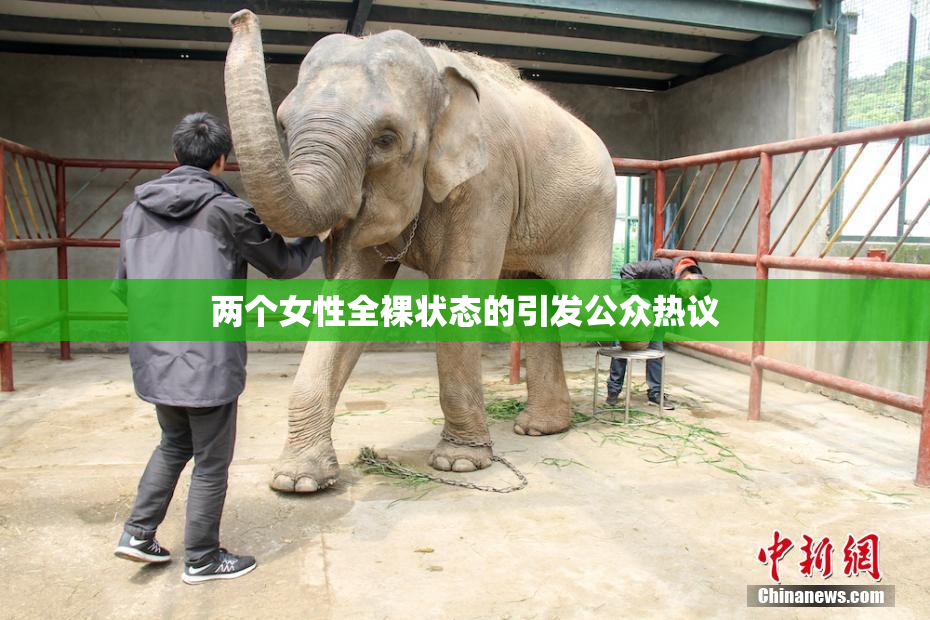 两个女性全裸状态的引发公众热议