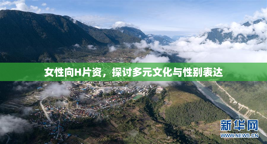 女性向H片资，探讨多元文化与性别表达
