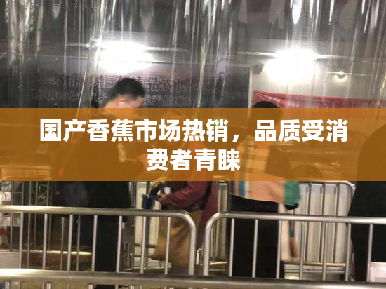 国产香蕉市场热销，品质受消费者青睐
