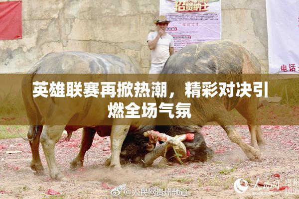 英雄联赛再掀热潮，精彩对决引燃全场气氛