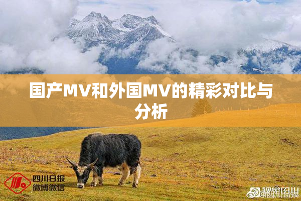 国产MV和外国MV的精彩对比与分析