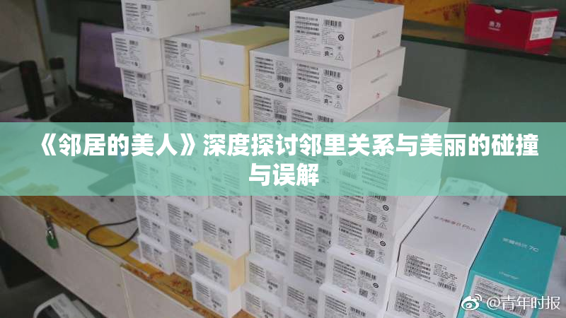 《邻居的美人》深度探讨邻里关系与美丽的碰撞与误解