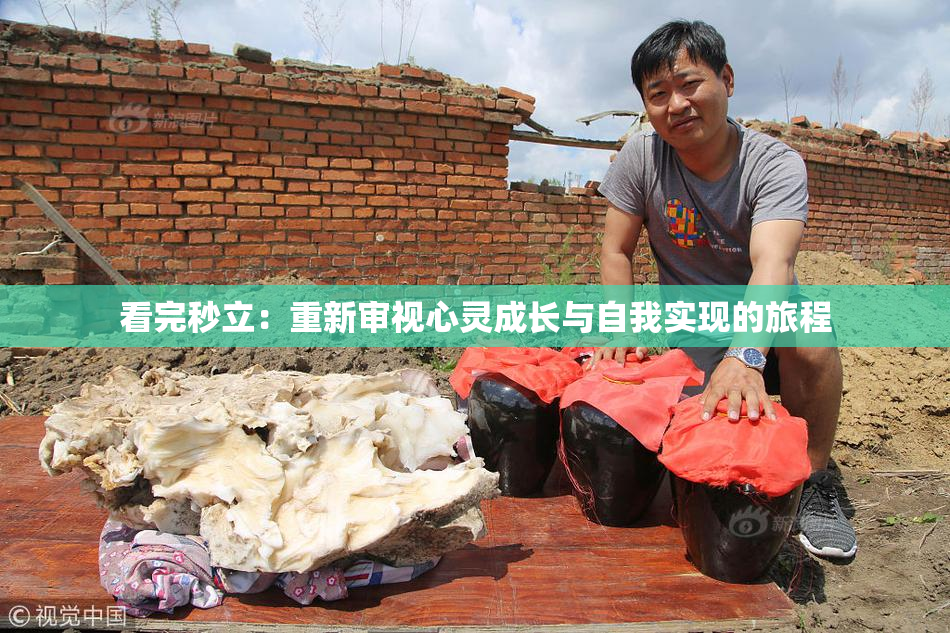 看完秒立：重新审视心灵成长与自我实现的旅程