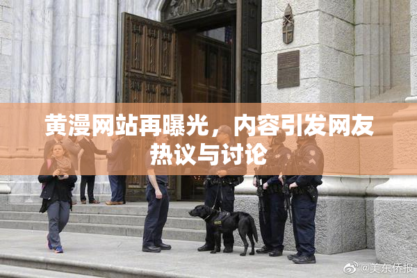 黄漫网站再曝光，内容引发网友热议与讨论