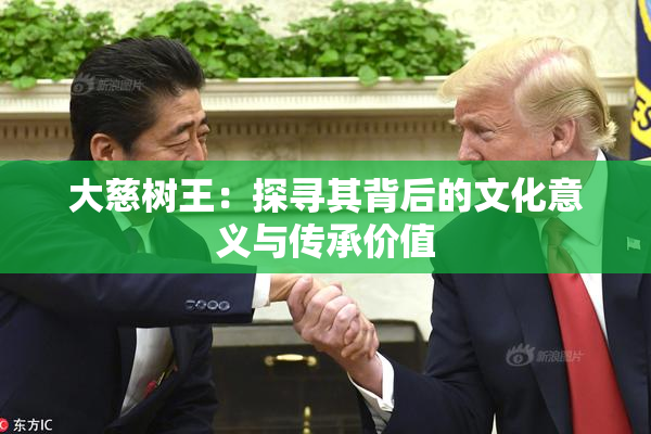 大慈树王：探寻其背后的文化意义与传承价值
