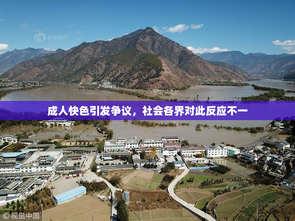 成人快色引发争议，社会各界对此反应不一
