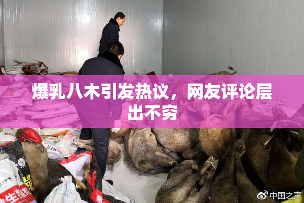 爆乳八木引发热议，网友评论层出不穷