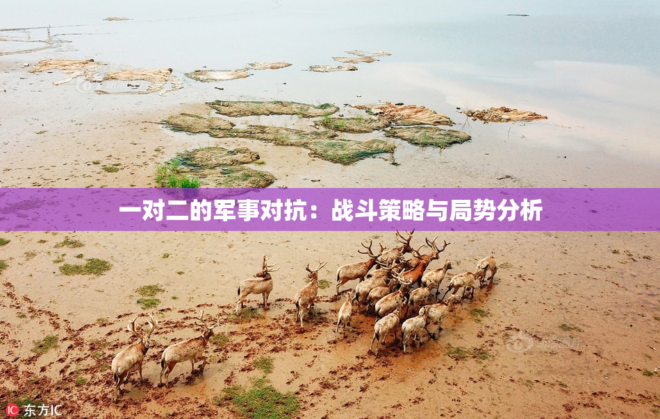 一对二的军事对抗：战斗策略与局势分析