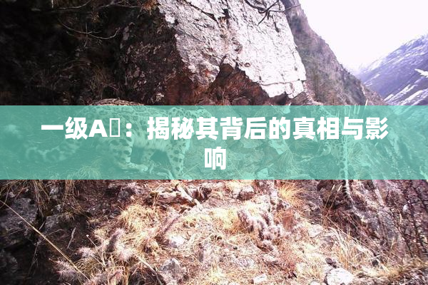 一级A婬：揭秘其背后的真相与影响