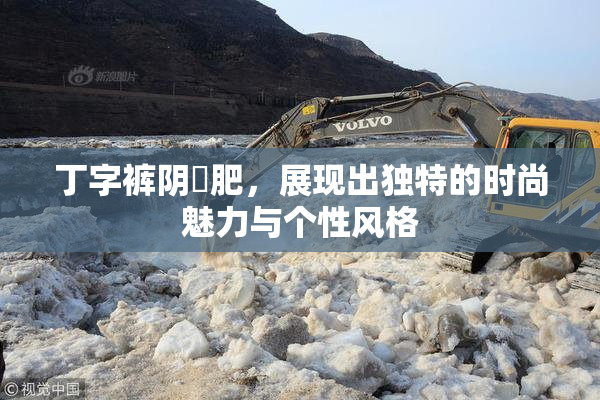 丁字裤阴脣肥，展现出独特的时尚魅力与个性风格