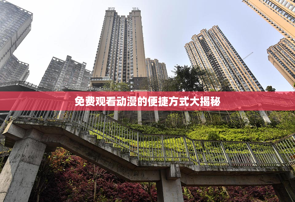 免费观看动漫的便捷方式大揭秘