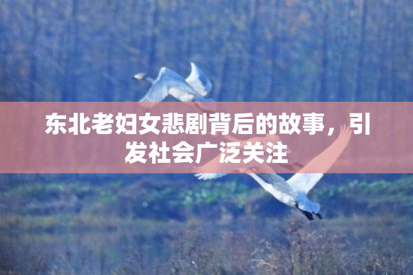 东北老妇女悲剧背后的故事，引发社会广泛关注