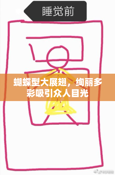蝴蝶型大展翅，绚丽多彩吸引众人目光